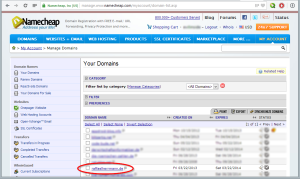 Setting up DynDNS for domains with Namecheap.com